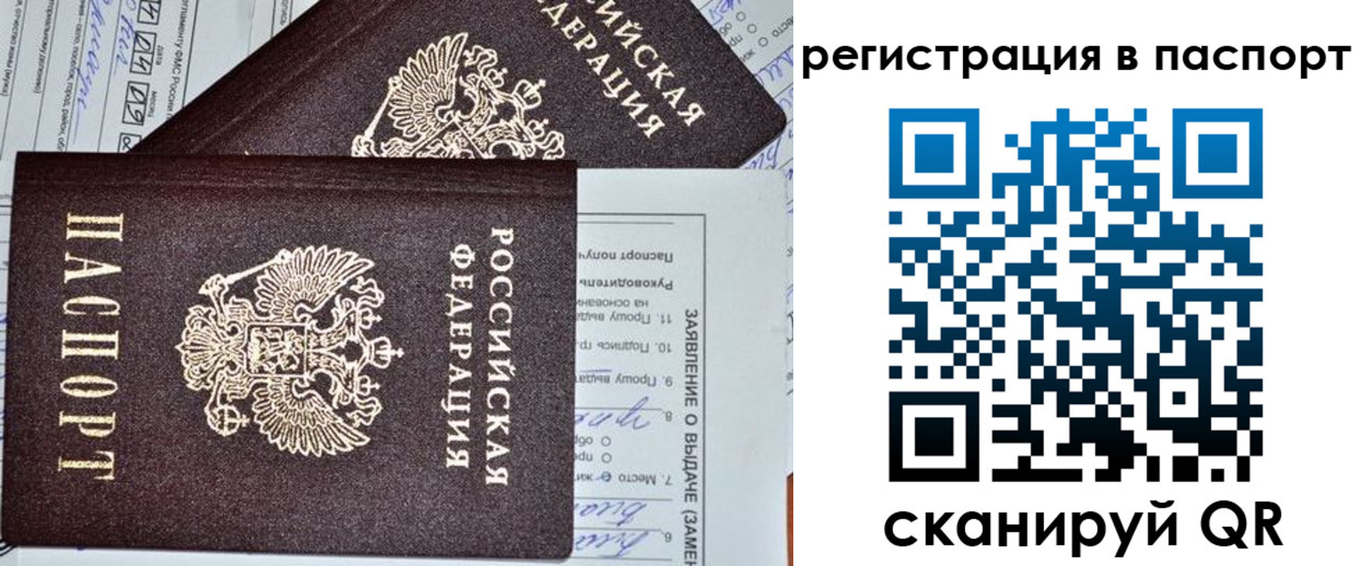 прописка законно в Раменском