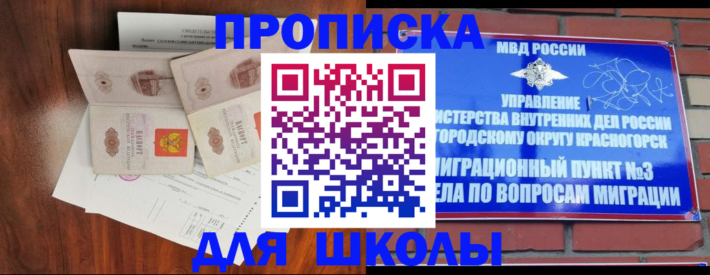 прописка поиск в Раменском